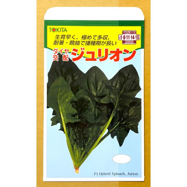 ３袋以上でクーポン割引 ジュリオン 法蓮草 20ｍl 種 ほうれんそう ホウレンソウ 送料無料 小袋 野菜 園芸 人気 栽培 野菜の種 たね 美味しい 安い おすすめ