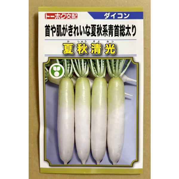 ３袋以上でクーポン割引 夏秋清光 大根 種 5ml だいこん ダイコン 送料無料 小袋 野菜種 野菜 園芸 人気 栽培 種子 野菜の種 たね 美味しい 安い おすすめ
