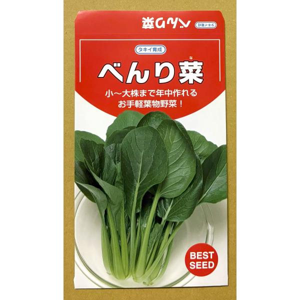 3袋以上でクーポン割引 べんり菜 6ml 種 漬け菜 つけな ツケナ 送料無料 小袋 野菜種 野菜 園芸 人気 栽培 種子 野菜の種 たね 美味しい 安い おすすめ