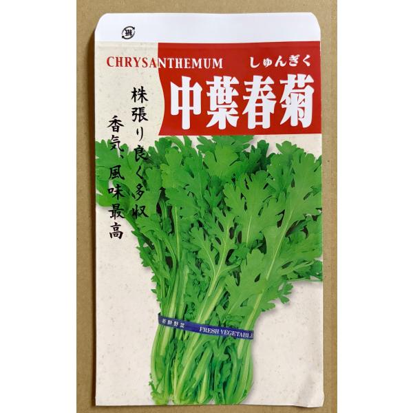 3袋以上でクーポン割引 中葉春菊 20ml 種 しゅんぎく シュンギク  送料無料 小袋 野菜種 野菜 園芸 人気 栽培 種子 野菜の種 たね 美味しい 安い おすすめ