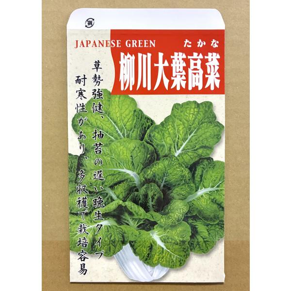 3袋以上でクーポン割引 柳川大葉高菜 5ml 種 たかな タカナ  送料無料 小袋 野菜種 野菜 園芸 人気 栽培 種子 野菜の種 たね 美味しい 安い おすすめ