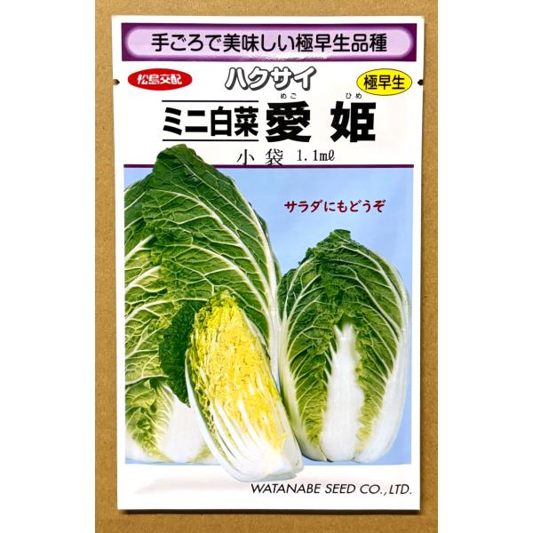 ３袋以上でクーポン割引 ミニ白菜 愛姫 種 1.1ml はくさい ハクサイ 送料無料 小袋 野菜種 野菜 園芸 人気 栽培 種子 野菜の種 たね 美味しい 安い おすすめ