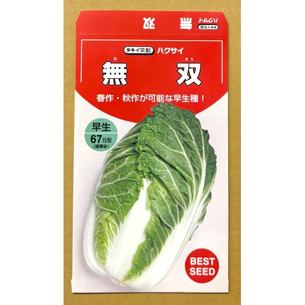 ３袋以上でクーポン割引 無双 白菜 種 2ml はくさい ハクサイ 送料無料 小袋 野菜種 野菜 園芸 人気 栽培 種子 野菜の種 たね 美味しい 安い おすすめ