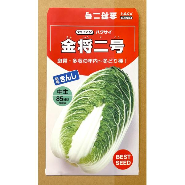 ３袋以上でクーポン割引 金将二号 白菜 種 2ml はくさい ハクサイ 送料無料 小袋 野菜種 野菜 園芸 人気 栽培 種子 野菜の種 たね 美味しい 安い おすすめ