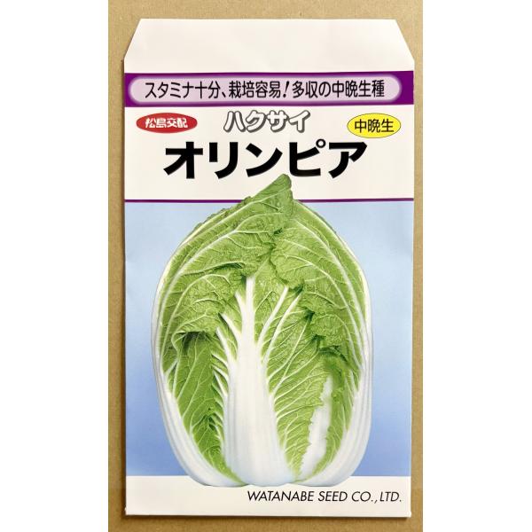 ３袋以上でクーポン割引 オリンピア 白菜 種 1.4ml はくさい ハクサイ