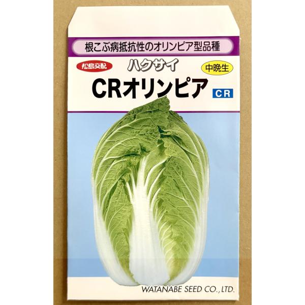 ３袋以上でクーポン割引 CRオリンピア 白菜 種 1ml はくさい ハクサイ 送料無料 小袋 野菜種 野菜 園芸 人気 栽培 種子 野菜の種 たね 美味しい 安い おすすめ