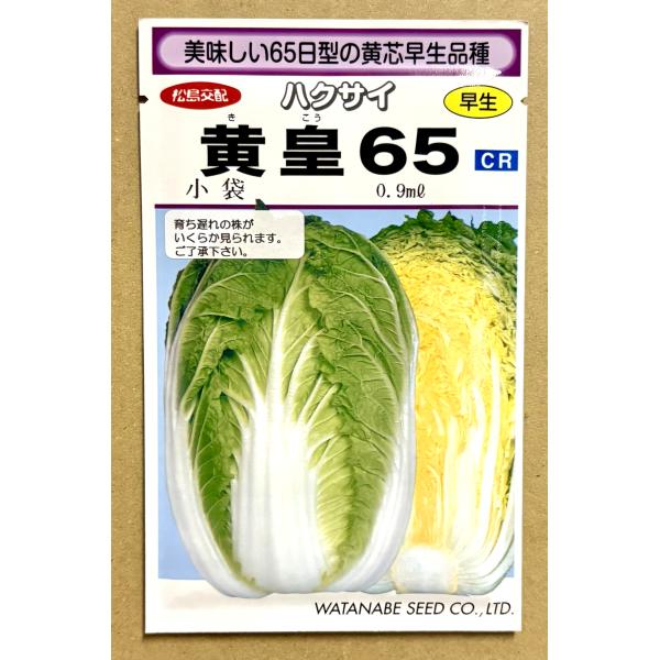 ３袋以上でクーポン割引 黄皇65 白菜 種 0.9ml はくさい ハクサイ