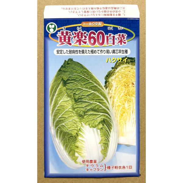 ３袋以上でクーポン割引 黄楽60 ハクサイ 種 1ml はくさい 白菜 送料無料 小袋 野菜種 野菜 園芸 人気 栽培 種子 野菜の種 たね 美味しい 安い おすすめ
