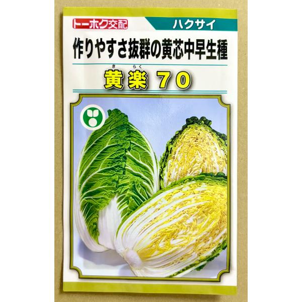 ３袋以上でクーポン割引 黄楽70 ハクサイ 種 1ml はくさい 白菜