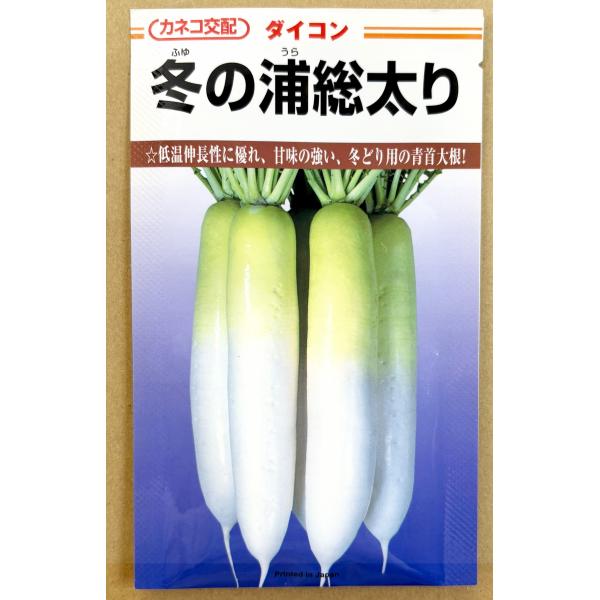 ３袋以上でクーポン割引 冬の浦総太り 大根 種 5ml だいこん ダイコン 送料無料 小袋 野菜種 野菜 園芸 人気 栽培 種子 野菜の種 たね 美味しい 安い おすすめ