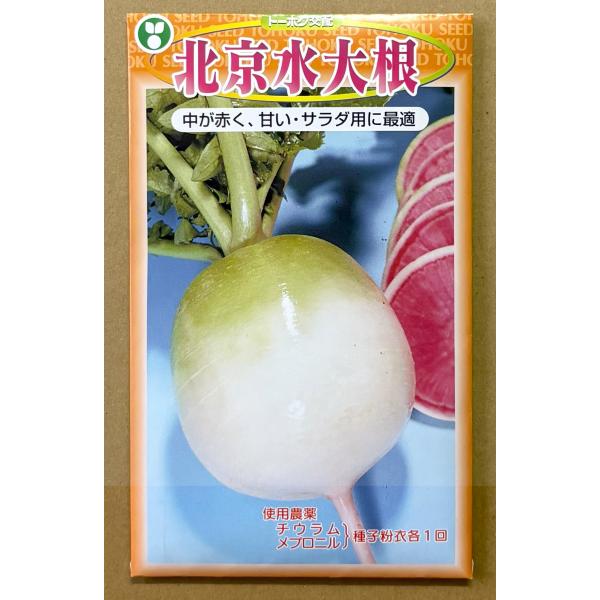 ３袋以上でクーポン割引 北京水大根 種 5ml だいこん ダイコン 送料無料 小袋 野菜種 野菜 園芸 人気 栽培 種子 野菜の種 たね 美味しい 安い おすすめ