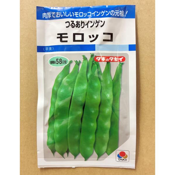 ３袋以上でクーポン割引 つるありモロッコ インゲン MF 種 27ｍl いんげんまめ インゲンまめ 送料無料 小袋 野菜種 野菜 園芸 人気 栽培 種子 野菜の種 美味しい