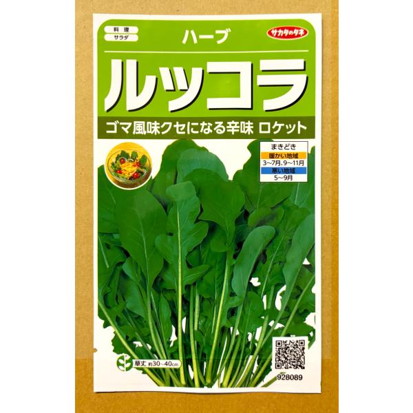 3袋以上でクーポン割引 ルッコラ（ロケット） 2ml 種 ハーブ