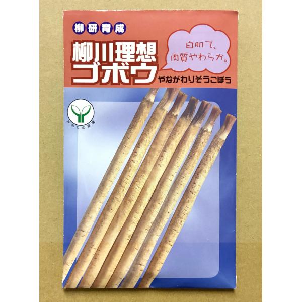 ３袋以上でクーポン割引 柳川理想ゴボウ 種 20ml ごぼう 牛蒡
