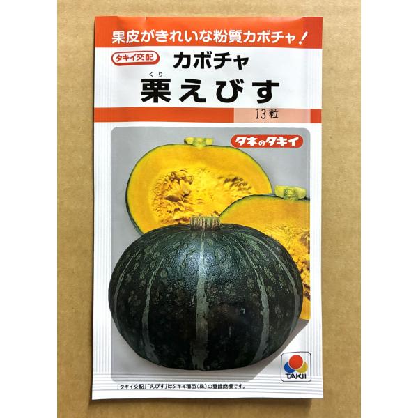 ３袋以上でクーポン割引 栗えびす 南瓜 種 13粒 かぼちゃ カボチャ
