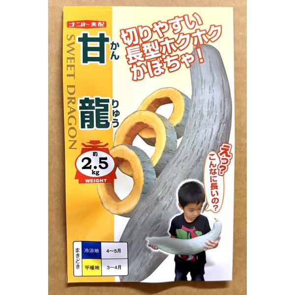 ３袋以上でクーポン割引 甘龍 南瓜 種 5粒 かぼちゃ カボチャ
