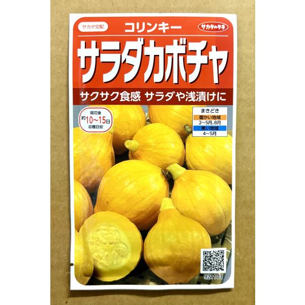 ３袋以上でクーポン割引 コリンキー サラダカボチャ 南瓜 種 6.5ml かぼちゃ カボチャ