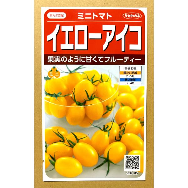 ３袋以上でクーポン割引 イエローアイコ  ミニトマト 種 13粒 トマト とまと