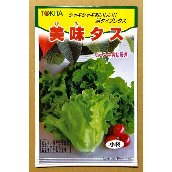 ３袋以上でクーポン割引 美味タス  2ml 種 レタス れたす