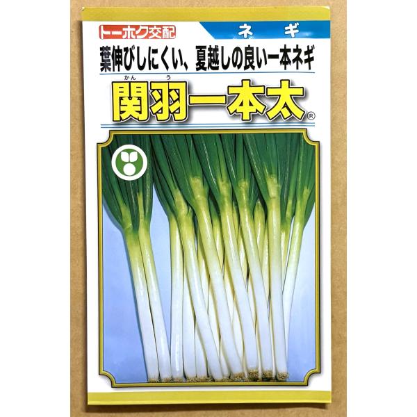 ●特長・中間地秋冬どり及び冷涼地秋どりに適する交配種です。・草姿は極立性、葉色は濃緑です。葉伸びしにくく、太りはややゆっくりとした中生種です。・耐暑性強く、夏越しが良いです。・葉は肉厚で、在ほ性、店持ち性が良いです。