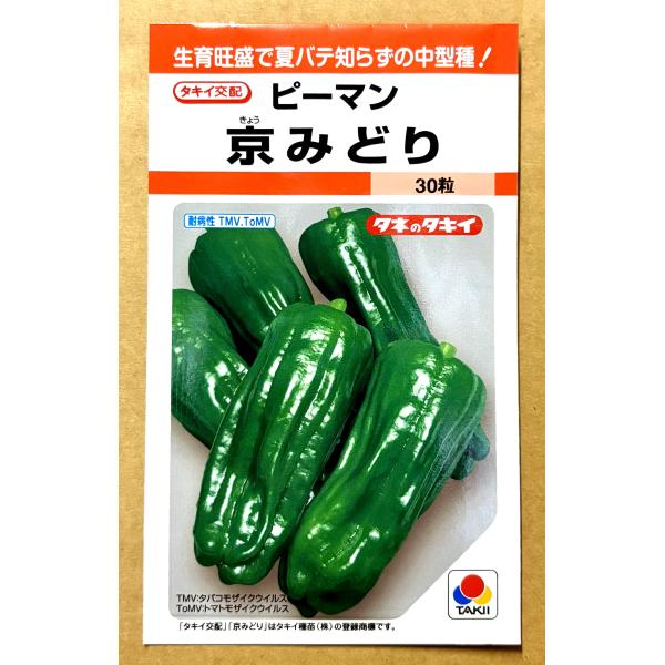 ３袋以上でクーポン割引 京みどり ピーマン 種 30粒 ぴーまん