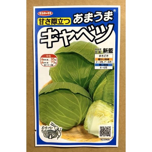 ３袋以上でクーポン割引 新藍  キャベツ  種 0.8ml きゃべつ