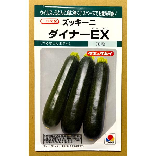 ３袋以上でクーポン割引 ダイナーEX ズッキーニ 種 10粒