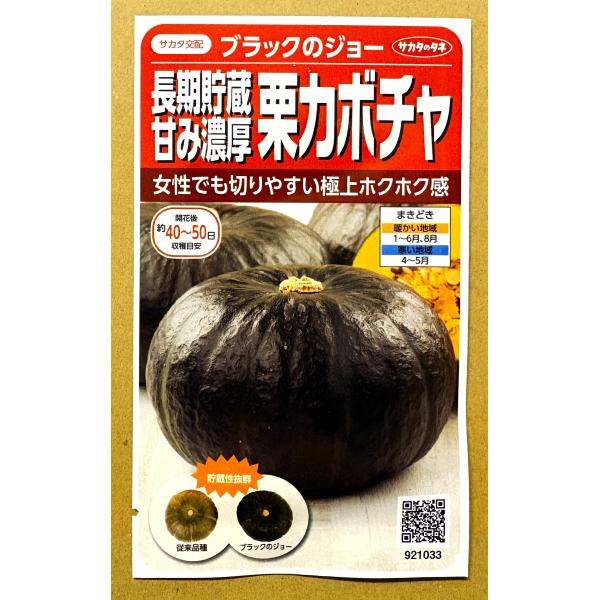 ３袋以上でクーポン割引 ブラックのジョー 栗カボチャ 種 6粒 かぼちゃ 南瓜 長期貯蔵甘み濃厚