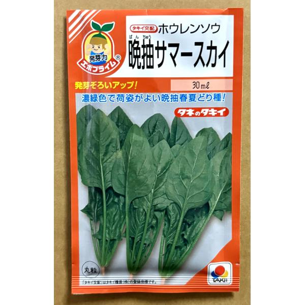３袋以上でクーポン割引 晩抽サマースカイ 30ｍl 種 ほうれんそう ホウレンソウ 送料無料 小袋 野菜 園芸 人気 栽培 種子 野菜の種 たね 美味しい 安い おすすめ