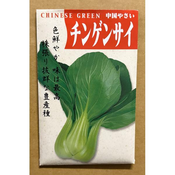 ３袋以上でクーポン割引 チンゲンサイ  種 6ml 中国野菜 送料無料 小袋 野菜 園芸 人気 栽培 種子 野菜の種 たね 美味しい 安い おすすめ