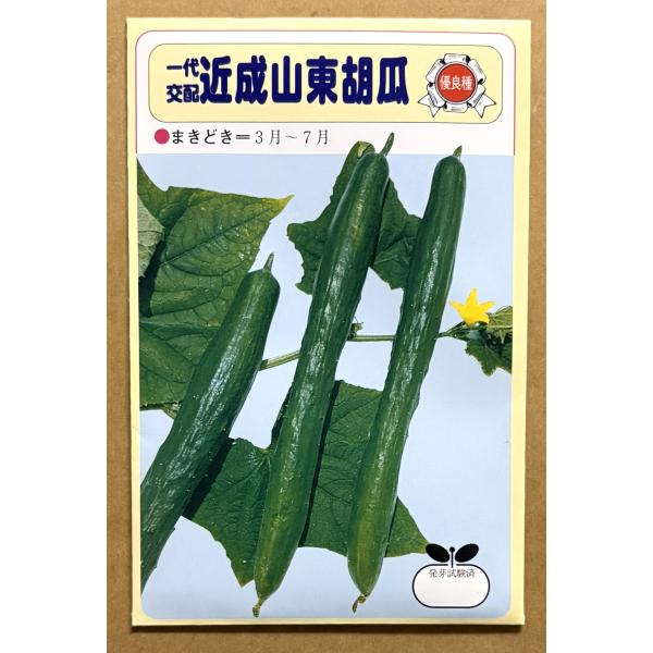 ３袋以上でクーポン割引  近成山東胡瓜 種 20粒 きゅうり キュウリ