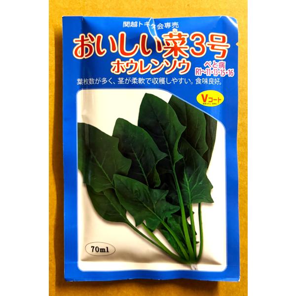 ３袋以上でクーポン割引 おいしい菜3号 ホウレンソウ  70ｍl 種 ほうれんそう  法蓮草