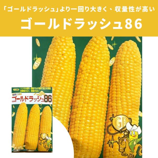 ３袋以上でクーポン割引 ゴールドラッシュ86 種 20ml　とうもろこし スイートコーン