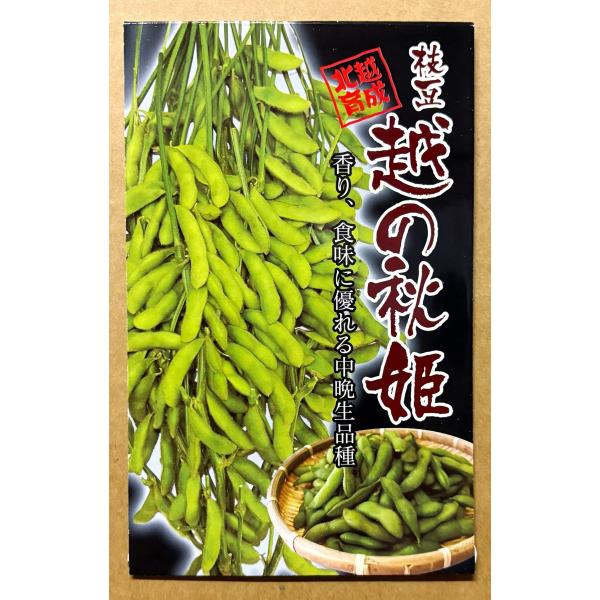 ３袋以上でクーポン割引 越の秋姫 1dL 種 枝豆 えだまめ エダマメ 野菜種 野菜 園芸 栽培 種まき 野菜の種 小袋 人気 おすすめ 種子 たね タネ