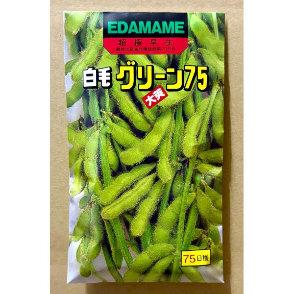 ３袋以上でクーポン割引 グリーン75 枝豆 種 70ml  えだまめ エダマメ
