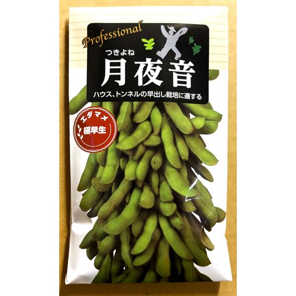 ３袋以上でクーポン割引 月夜音 エダマメ 種 70ml 枝豆 えだまめ