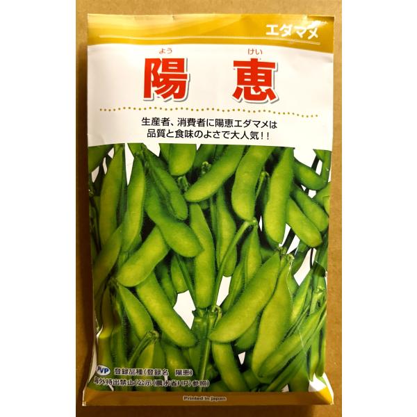３袋以上でクーポン割引  陽恵 エダマメ 種 60ml かおり 枝豆 えだまめ  枝豆の種  茶豆風味 送料無料  野菜 人気 栽培 種子 種まき 野菜の種 美味しい タネ