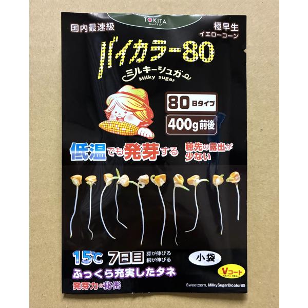 ３袋以上でクーポン割引 トキタ種苗 ミルキーシュガー バイカラー80 種 70粒　とうもろこし スイートコーン 発芽率 糖度 種子 早生