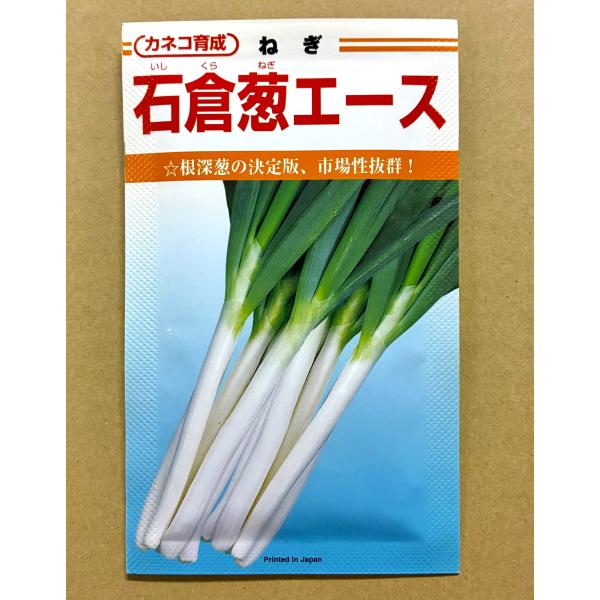 ３袋以上でクーポン割引 石倉葱エース 種 20ml ネギ ねぎ 野菜種 野菜 園芸 栽培 種まき 野菜の種 小袋 人気 おすすめ 種子 たね タネ