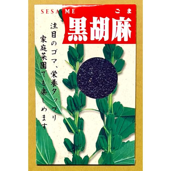 ３袋以上でクーポン割引 黒胡麻 種 4ml  黒ごま くろごま クロゴマ