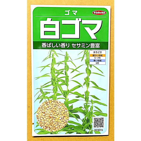 ３袋以上でクーポン割引 白ごま 種 12ml  白胡麻 しろごま シロゴマ