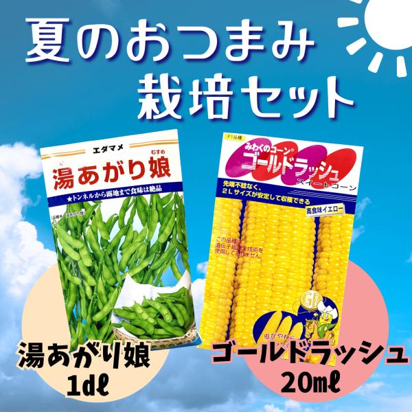 ３袋以上でクーポン割引 夏のおつまみ栽培セット　湯あがり娘 エダマメ 1dL 枝豆 えだまめ ＋ ゴールドラッシュ スイートコーン 20ml とうもろこし