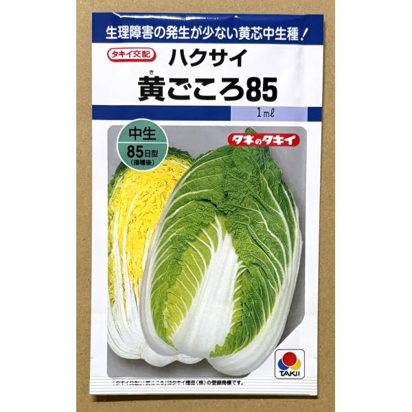 ３袋以上でクーポン割引 黄ごころ85 白菜 種 1ml はくさい ハクサイ