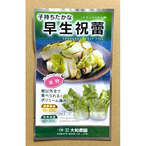 ３袋以上でクーポン割引 子持ちたかな 早生祝蕾 白菜 種 30粒 はくさい ハクサイ