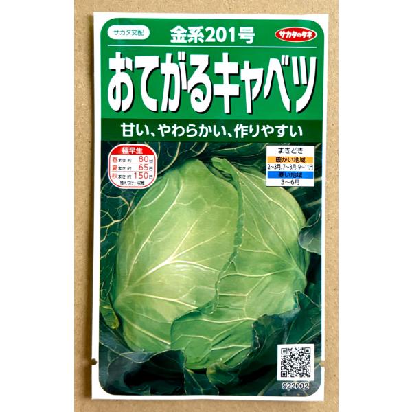 ３袋以上でクーポン割引 おてがるキャベツ 金系201号 キャベツ 種 0.8ml きゃべつ