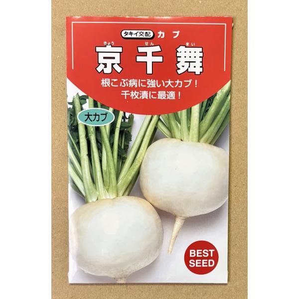 ３袋以上でクーポン割引 京千舞 カブ 種 2ml かぶ