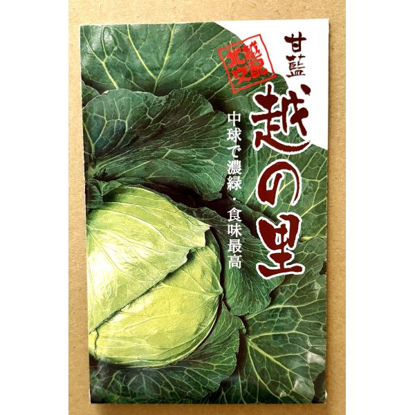 ３袋以上でクーポン割引 越の里 キャベツ 種 1.5ml きゃべつ