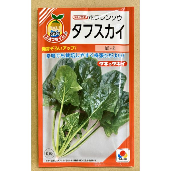 ３袋以上でクーポン割引 タフスカイ ホウレンソウ 40ｍl 種 ほうれんそう  法蓮草