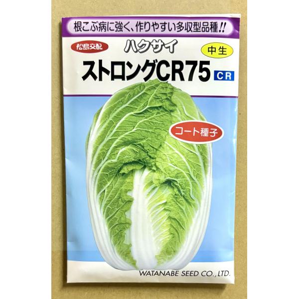 ３袋以上でクーポン割引 ストロングCR75 白菜 コート種子  種 6ml はくさい ハクサイ