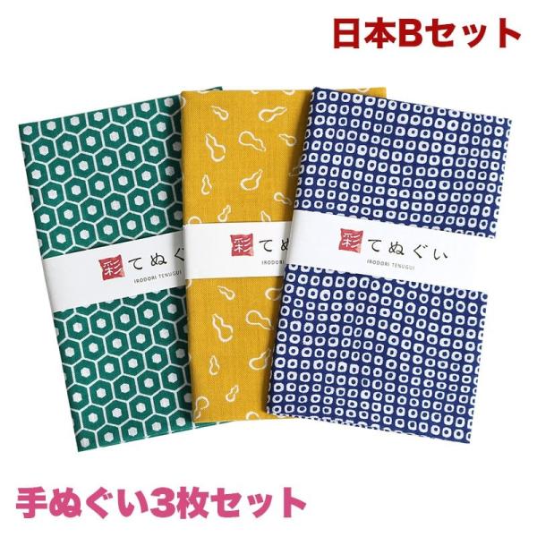 ʂ 3Zbg {BZbg { @  aG nJ` ^I  bsO l ӂ  ei  irodori TE-X3-009